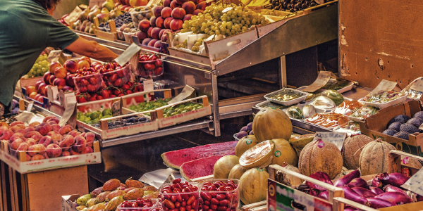 Bologna Food and Market Tour 1