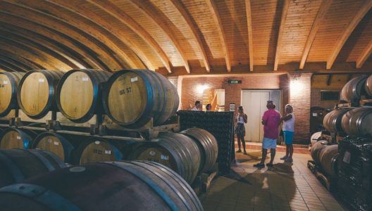 piedmont and barolo wine tour