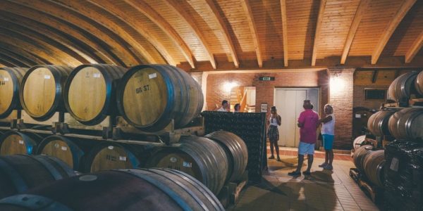 piedmont and barolo wine tour