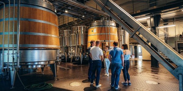 Franciacorta Sparkling Wine Tour from Milan_1