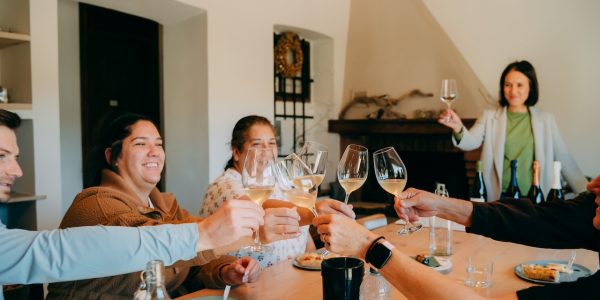 Prosecco Wine Tour from Venice, Venice Tours, Day trip from Venice, Wine tasting Venice, Wine tasting in italy, Prosecco hills, prosecco wine tasting, what to do in Venice